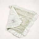Little Giraffe Velvet Blanky 14"x14" - All Colors LGF_VSBLY Color: Celadon