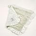 Little Giraffe Velvet Blanky 14\