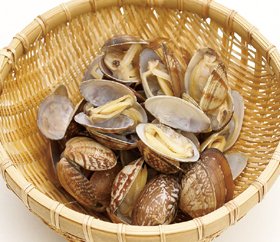 殻付ボイルあさり　500g(50～60粒)