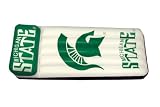 Michigan State New Inflatable Pool Float Lounge Raft