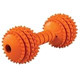 JW Pet Company Chompion Middleweight Dog Toy (Colors Vary)