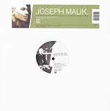 Take It All in and Check It... [12" VINYL]