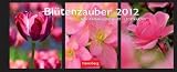 Produkt-Bild: Bl&uuml;tenzauber 2012 Panorama Postkartenkalender: Panoramakalender mit 12 Postkarten