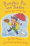 Pumpkin pie and puddles : poems for every day