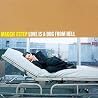 Image of album by Maggie Estep