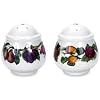 Portmeirion Pomona Earthenware Salt and Pepper Set