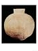 Vase with Decorative Carving, from Tell-Hassuna, 5th Millennium BC Giclee Poster Print by Mesopotamian, 18x24