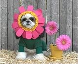 Dog Costume - Flower Pet Halloween Costume - X-Small