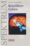 Reiseführer Gehirn