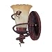 Desert Wind 1-Bulb Wall Sconce