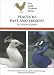 Peacocks: Past and Present