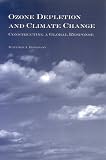 Ozone Depletion And Climate Change: Constructing A Global Response (Suny Series in Global Politics)