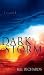 Books : Dark Storm