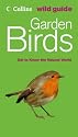 Garden Birds (Collins Wild Guide)