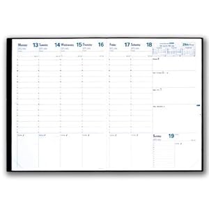 Amazon.com : Quo Vadis 2014 Prenote Weekly Desk Calendar Refill