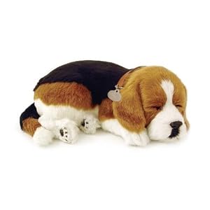 Perfect Petzzz Beagle by 
