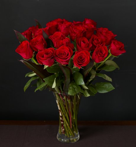 Autograph&trade; Two Dozen Freedom&Acirc;&reg; Roses