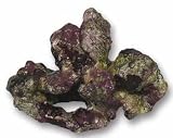 Deco Art ORNAMENT LIVE ROCK #31 7.0 x 4.7 x 7.0
