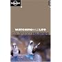 Watching Wildlife Gal�pagos Islands