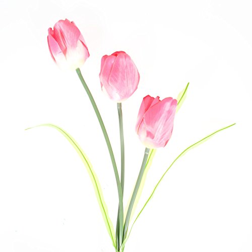 Esky waterproof tulip solar powered led garden lights, …