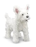 West Highland Terrier (Westie)