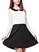 Allegra K Women's Contrast Color Mesh Panel Long Sleeves Dress S Black