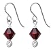 Titanium January Birthstone Earrings Made with SWAROVSKI ELEMENTS