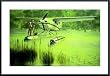 Art Poster Metal Framed Print - NEXT GENERATION - Artist: PAUL RENDEL- Poster Size: 35 X 23