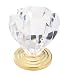 Amerock Solid Brass 1 3/16" Acrylic Cabinet Knob Polished Brass Base