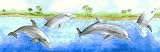 Dolphins Palm Trees in Ocean Wallpaper Border