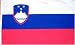 Slovenia National Country Flag - 3 foot by 5 foot Polyester (New)