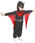 Batman Beyond Costume Boy