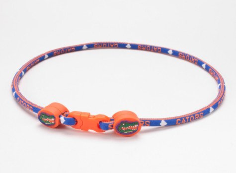 Eagles Wings Florida Gators 21 Necklace