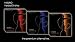 Hydro Herbal 50g Shisha Molasses Sampler 19 Pack