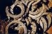 Used Horseshoes
