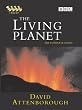 The Living Planet [DVD]