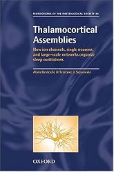 Thalamocortical Assemblies: How Ion Channels, Single Neurons and Large-Scale Networks Organize Sleep Oscillations