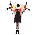 Fiery Dawn Faerie Wings