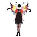 Fiery Dawn Faerie Wings