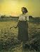 The Song of the Lark Art Poster Print