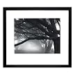 Victoria Hagan Perfect Pieces Cypresses, Skyline Drive Framed Art