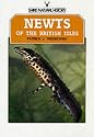 Newts of the British Isles (Shire natural history)