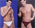 Men's Silk Bikini Brief (Free World Shipping)