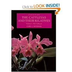 Cattleyas and Their Relatives: The Cattleyas v. 1 (Cattleyas & Their Relatives)
