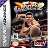 Fire Pro Wrestling 2
