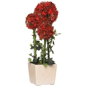 GKI Bethlehem Lighting 20-Inch Red Alliums with LED Lights, Battery Operated by GKI Bethlehem Lighting