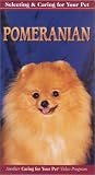 Selecting and Caring For Your Pet Pomeranian