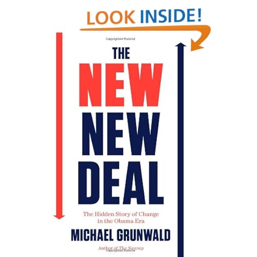 The New New Deal: The Hidden Story of Change in the Obama Era