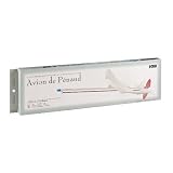 Avion de Penaud Model Airplane Kit