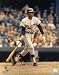 Rod Carew Autographed/Hand Signed Minnesota Twins 16x20 Photo